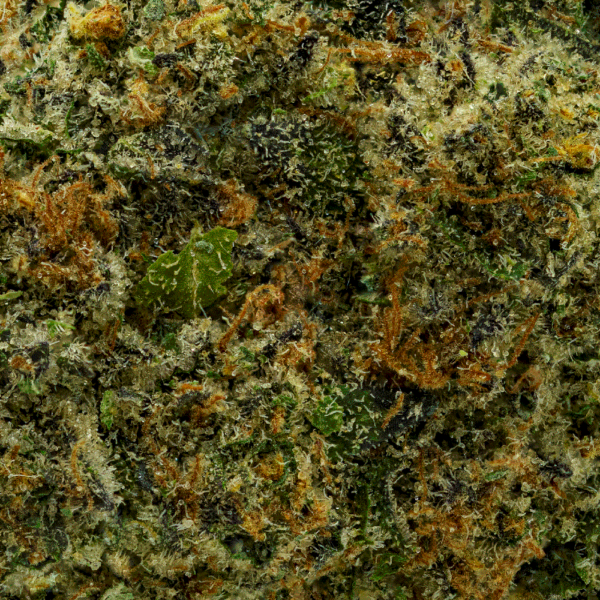 Gasoline Dream - Whole Flower 3.5G - Image 2