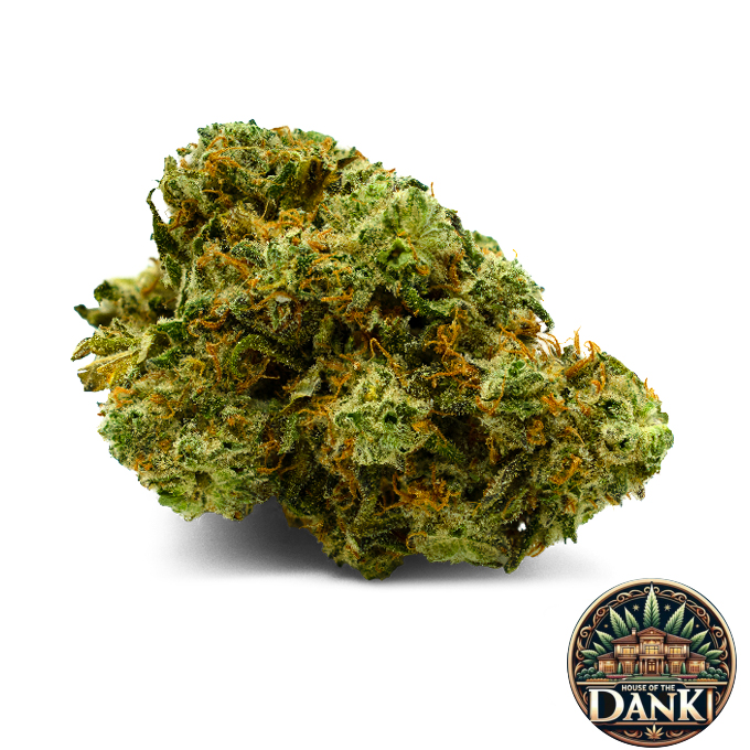 Northern Lights - 3.5G