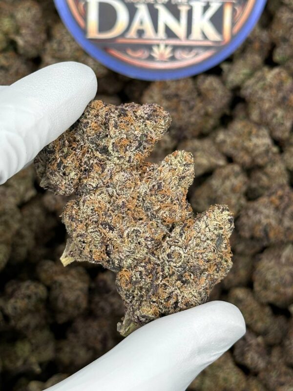 Frozen Gelato