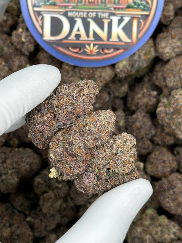 Sweet Pineapple Gelato - Image 2