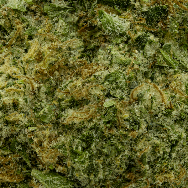 OG Trainwreck - Image 2