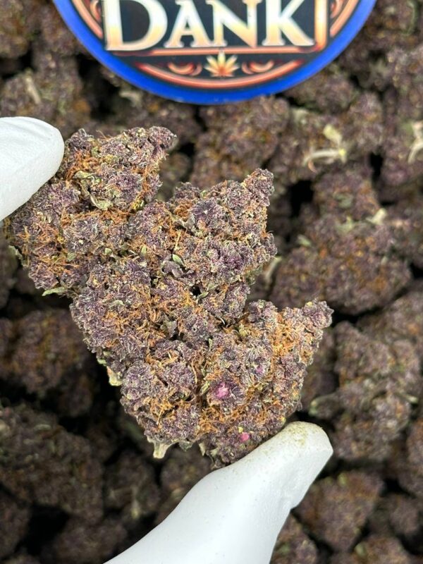 Purple Tangie - 28G (Ounce) - Image 2