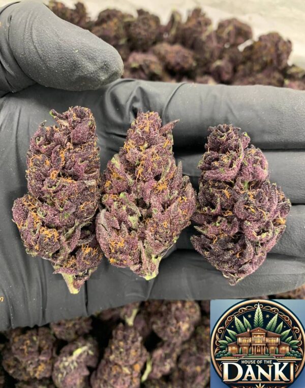 Granddaddy Purple(GDP) - 28G