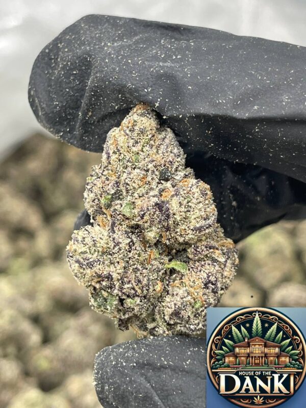 Blue Dream - LB (Pound)