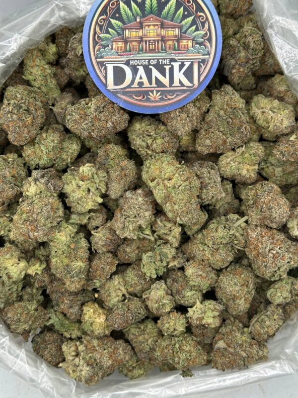 Gold Strain (Acapulco Gold) - 28G (Ounce) (G