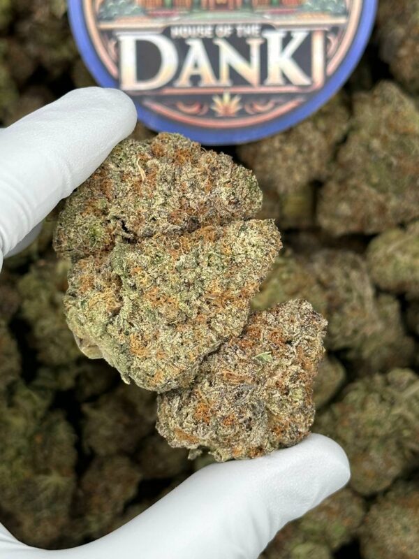 Gold Strain (Acapulco Gold) - 28G (Ounce) (G - Image 2