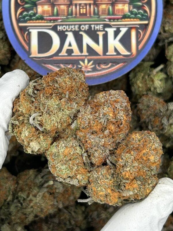 Sundae Driver (Sunday Driver) - LB
