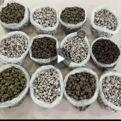 CHEAP POUNDS (MIDS, LOWS, DEPS) check product description for Strains and Prices