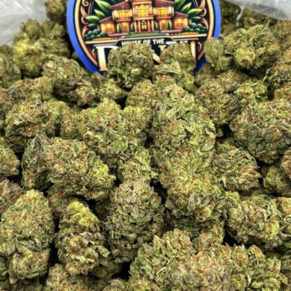 Blood Orange Bliss(OZ)