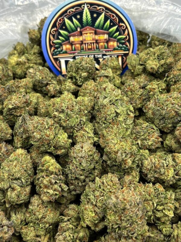 Blood Orange Bliss(OZ)