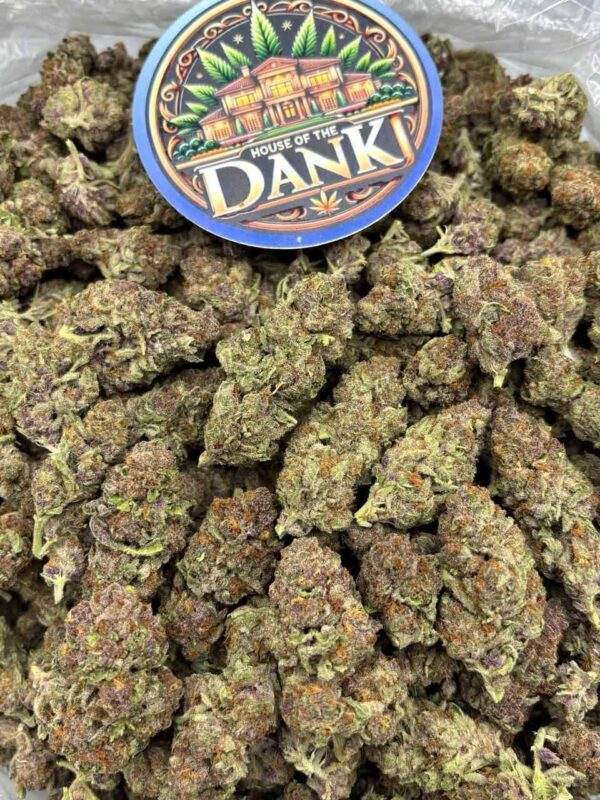 TROPICANNA COOKIES(QP)