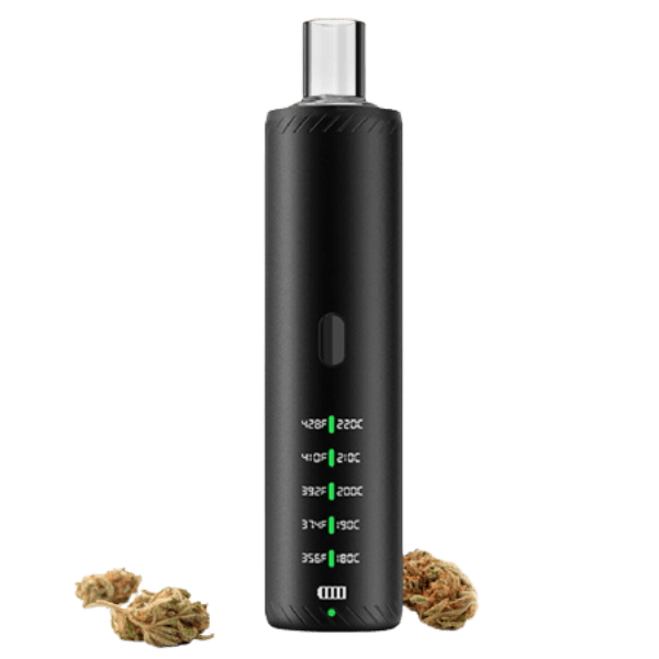 CBD hemp and other herbs Vaporizer